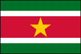 flagge-suriname